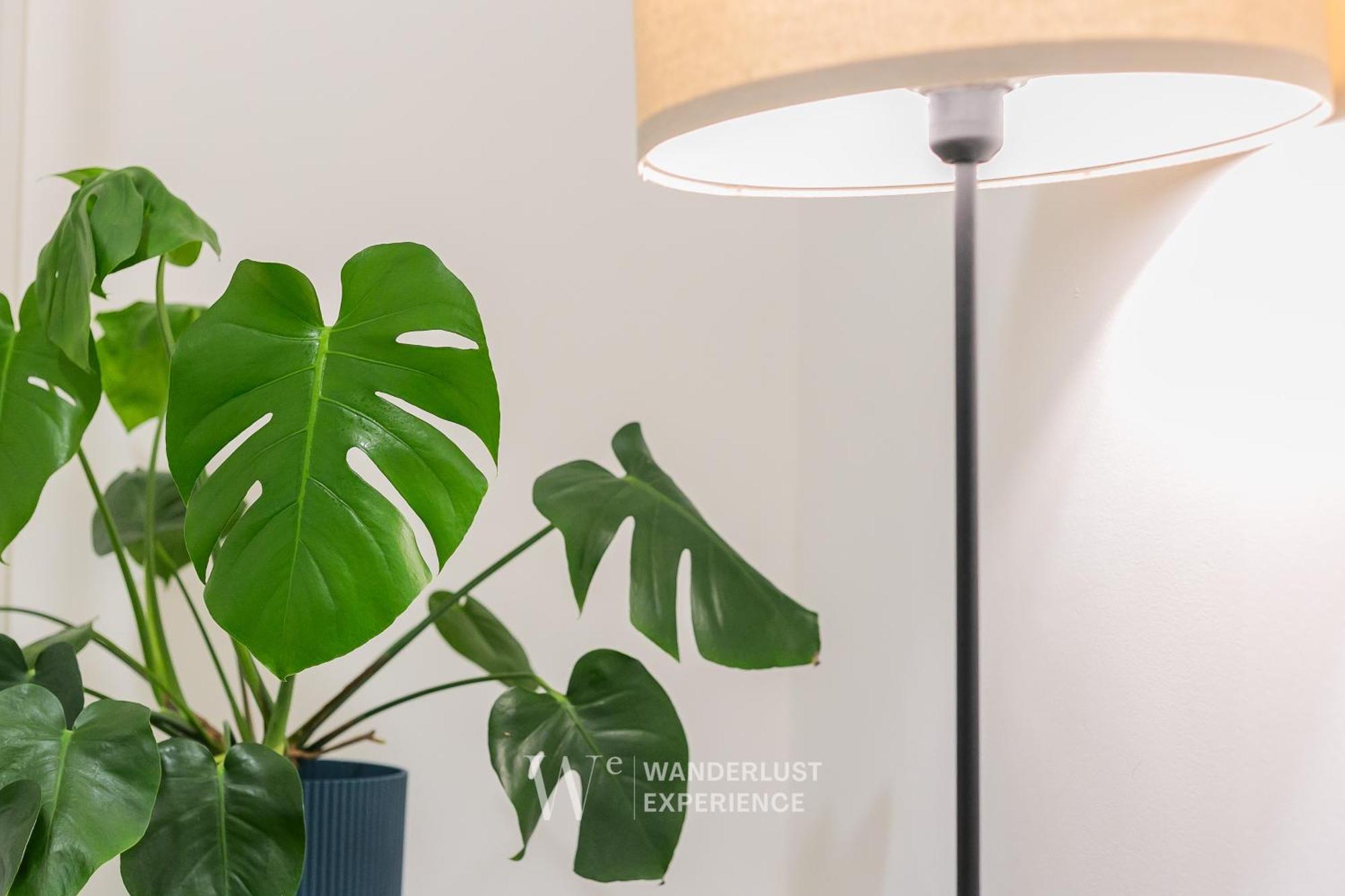 Wanderlust Experience Frankly Apartment Μπάρι Εξωτερικό φωτογραφία